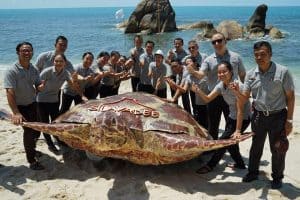 For the turtle release activity at the secret beach held to celebrate the hotel’s yearly anniversary