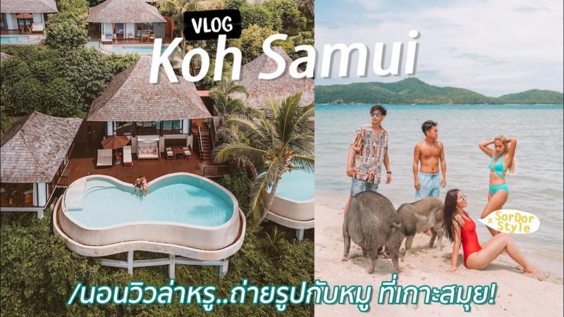 นอนวิลล่าหรู ถ่ายรูปกับหมู..ที่เกาะสมุย [Silavadee VLOG] | Paigunna ไปกันนะ
