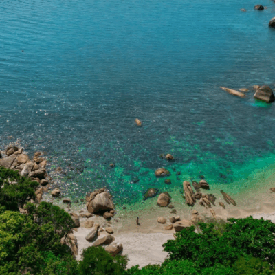 عرض موسم الأعياد الاحتفالي